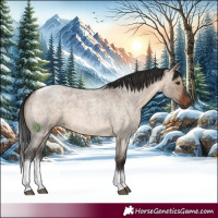 Horse Color:Brown Roan Dun Tobiano Rabicano