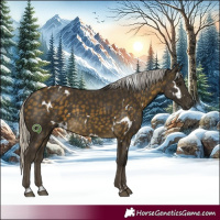 Horse Color:White Spotted Silver Buckskin Rabicano