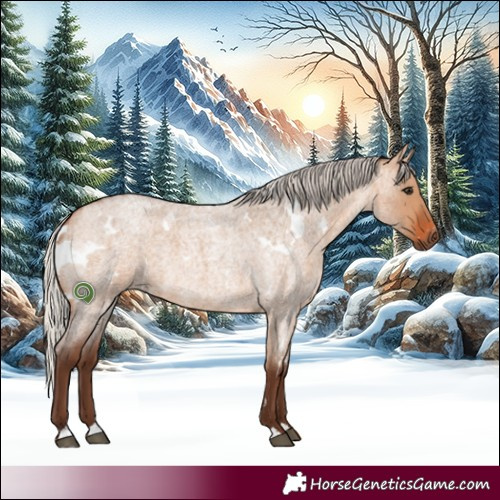 Horse Color:White Spotted Silver Bay Roan Dun