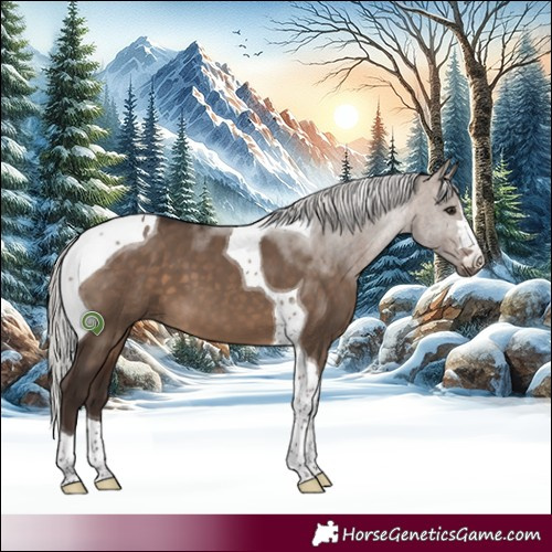 Horse Color:Silver Brown Dun Tobiano 