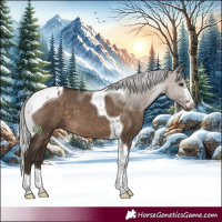 Horse Color:Silver Brown Dun Tobiano 