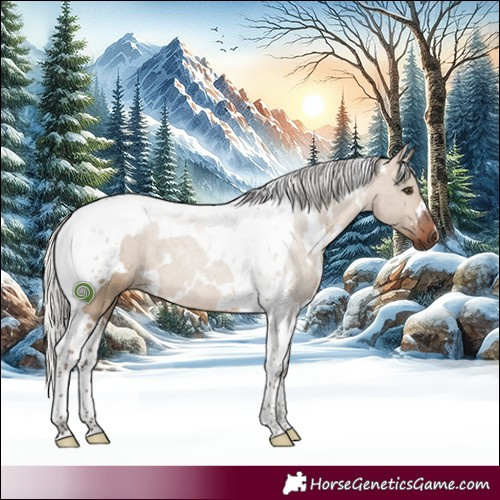 Horse Color:White Spotted Silver Brown Dun Tobiano 