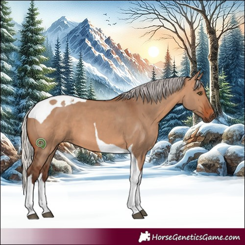 Horse Color:Silver Brown Dun Tobiano 