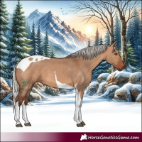 Horse Color:Silver Brown Dun Tobiano