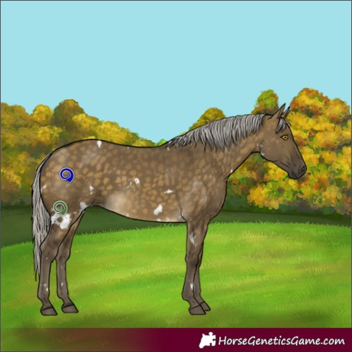 Horse Color:White Spotted Silver Buckskin Dun 