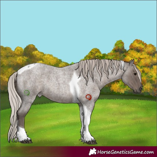 Horse Color:Silver Blue Roan Tobiano 