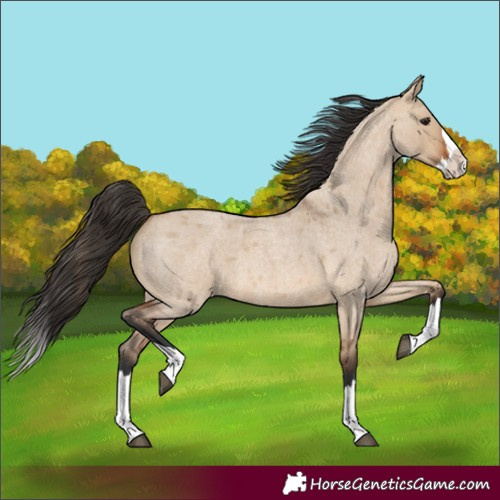 Horse Color:Bay Roan Dun Splash 