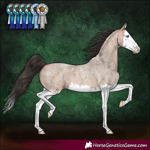 Horse Color:Bay Roan Dun Splash 