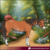 Horse Color:Bay Splash Frame and Bay Splash