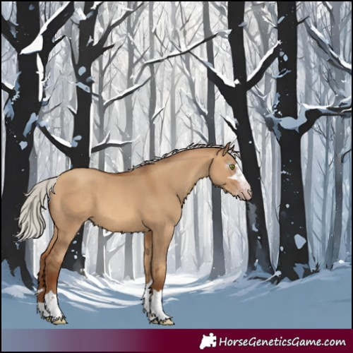 Horse Color:Gray Silver Amber Champagne Dun 