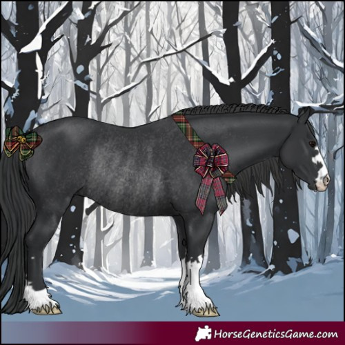 Horse Color:Black Rabicano 