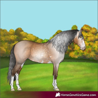 Horse Color:Gray Amber Champagne 
