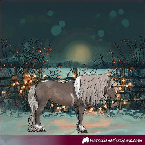 Horse Color:White Spotted Silver Black Tobiano 
