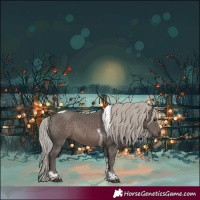 Horse Color:White Spotted Silver Black Tobiano 