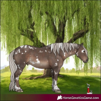 Horse Color:White Spotted Silver Black Tobiano 
