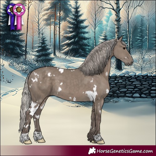 Horse Color:White Spotted Silver Grullo 