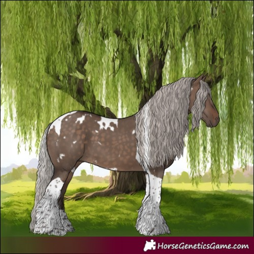 Horse Color:White Spotted Silver Brown Dun Tobiano 