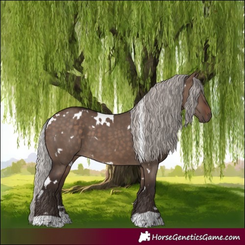 Horse Color:White Spotted Silver Brown Dun Tobiano 