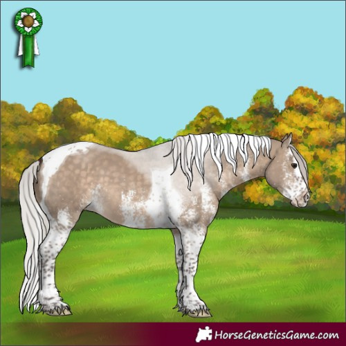 Horse Color:White Spotted Silver Brown Dun Splash Tobiano 