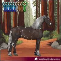 Horse Color:White Spotted Silver Brown Tobiano 