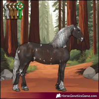 Horse Color:White Spotted Silver Brown Tobiano 
