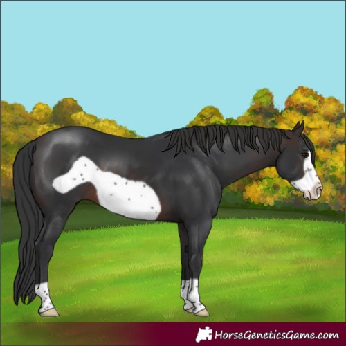 Horse Color:Brown Frame 