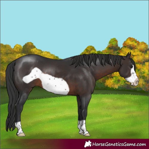 Horse Color:Brown Frame 