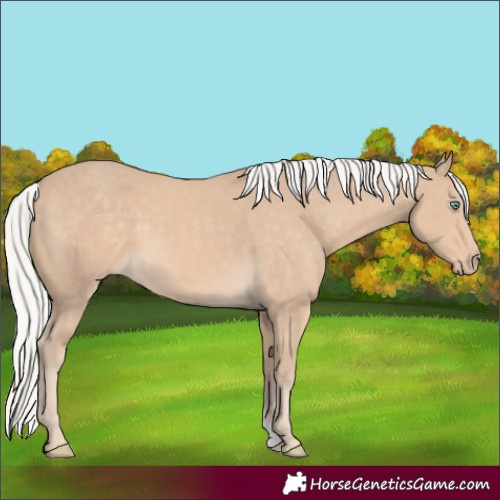 Horse Color:Silver Smoky Creme 