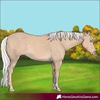 Horse Color:Silver Smoky Creme