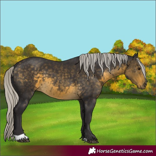 Horse Color:Silver Buckskin 
