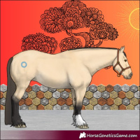 Horse Color:Buckskin Dun 