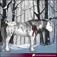 Horse Color:Black Sabino Splash Blanket Rabicano 