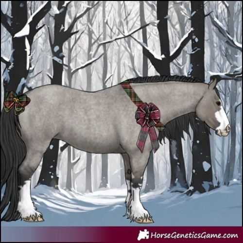 Horse Color:Grullo Roan 