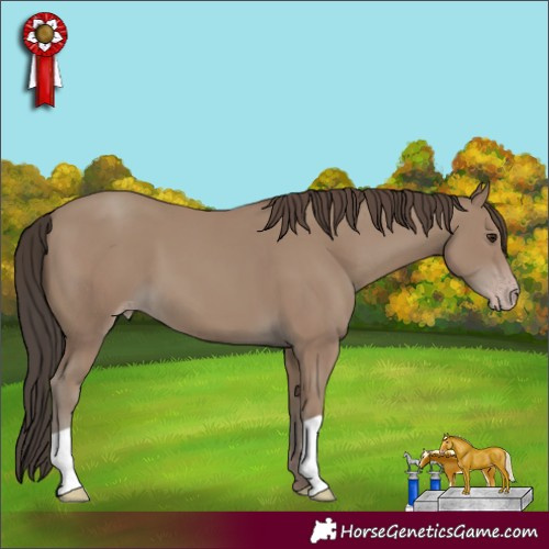 Horse Color:Classic Champagne 