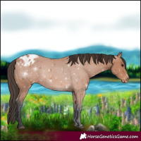 Horse Color:Bay Varnish 