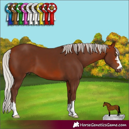 Horse Color:Silver Bay 