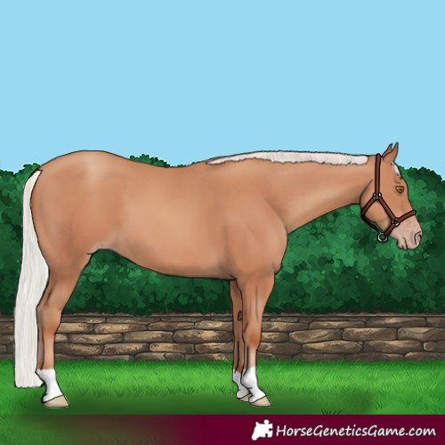 Horse Color:Silver Classic Champagne 