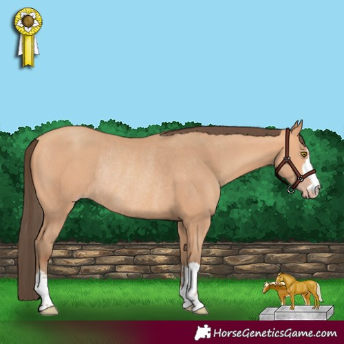 Horse Color:Amber Champagne Rabicano