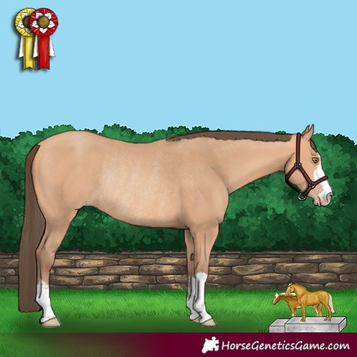 Horse Color:Amber Champagne Rabicano