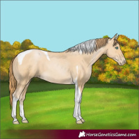 Horse Color:Smoky Black Pearl Tobiano Rabicano