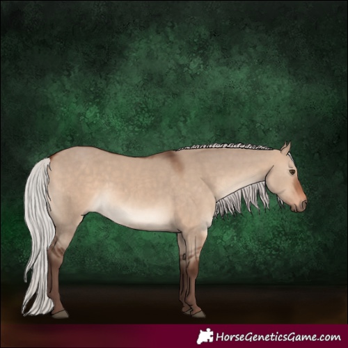 Horse Color:Silver Brown Dun Rabicano 