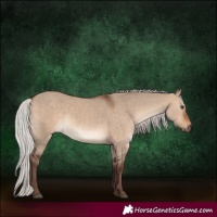 Horse Color:Silver Brown Dun Rabicano 