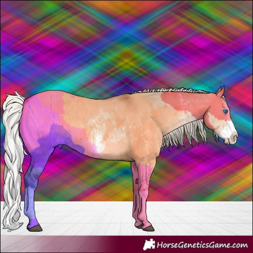 Horse Color:Silver Bay Dun Sabino Splash 