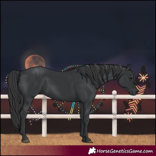 Horse Color:Black 