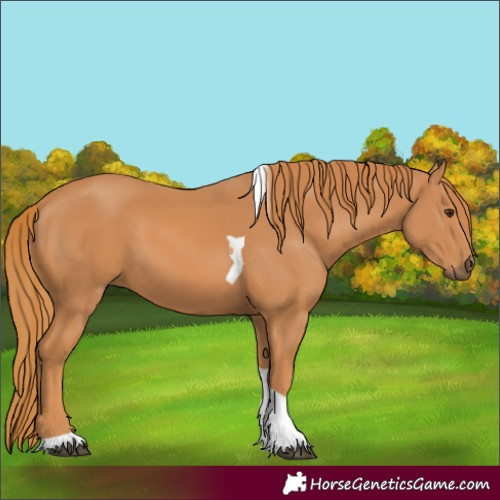 Horse Color:Chestnut Tobiano 