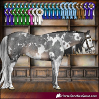 Horse Color:White Spotted Brown Roan Splash 