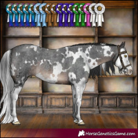 Horse Color:White Spotted Brown Roan Splash 