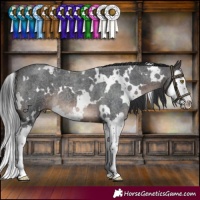 Horse Color:White Spotted Brown Roan Splash 