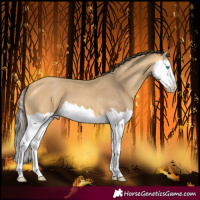 Horse Color:Amber Cream Champagne Splash 