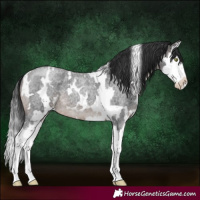 Horse Color:White Spotted Brown Roan Mushroom Splash